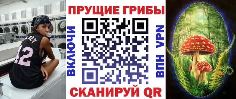 Псилоцибиновые грибы Psilocybine cubensis  наркота  мега зеркало  Калининец 